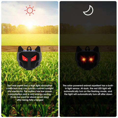 Dual red LEDs mimic a larger predator to deter intruders