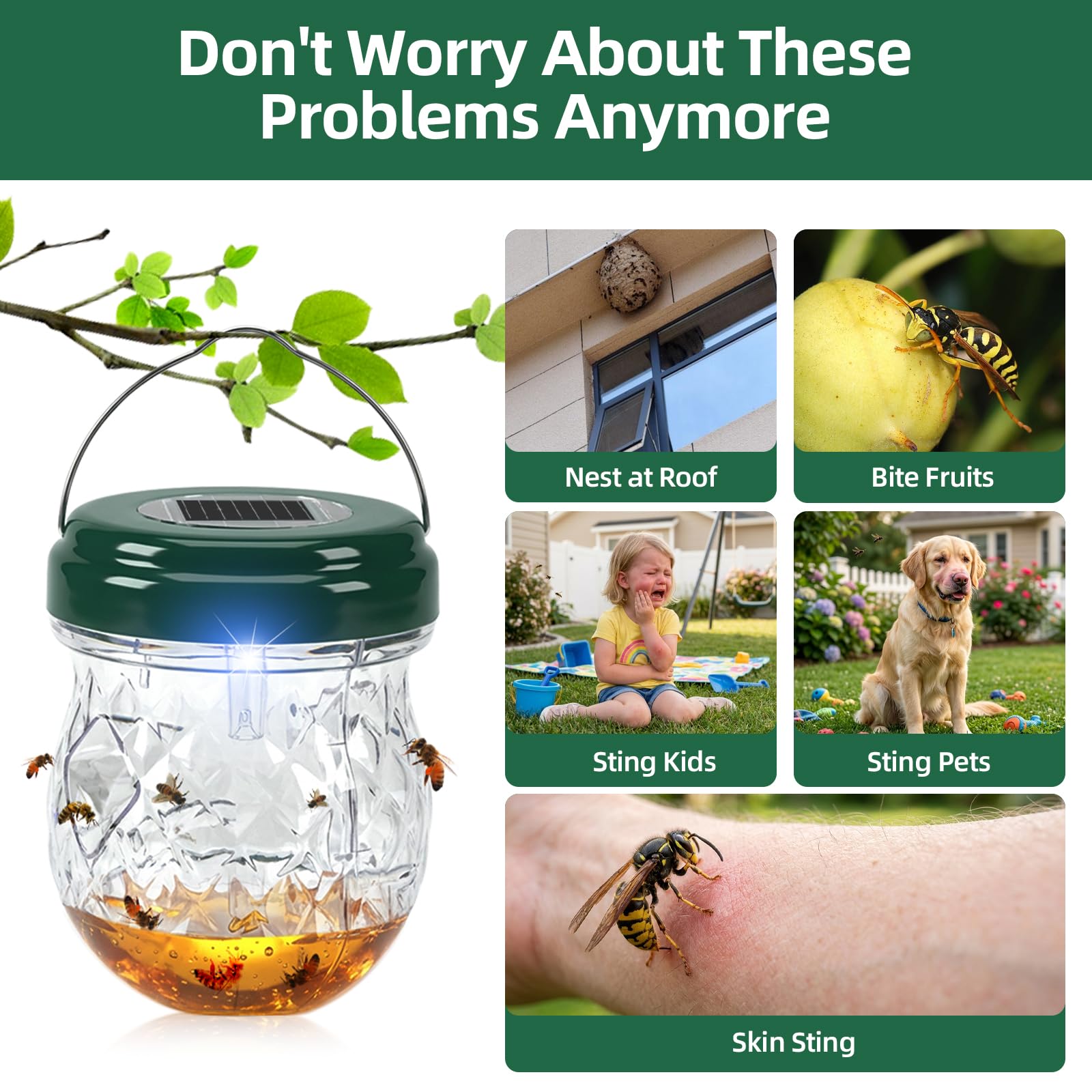 Jahy2Tech Solar LED night attract draws flying insects after dark.