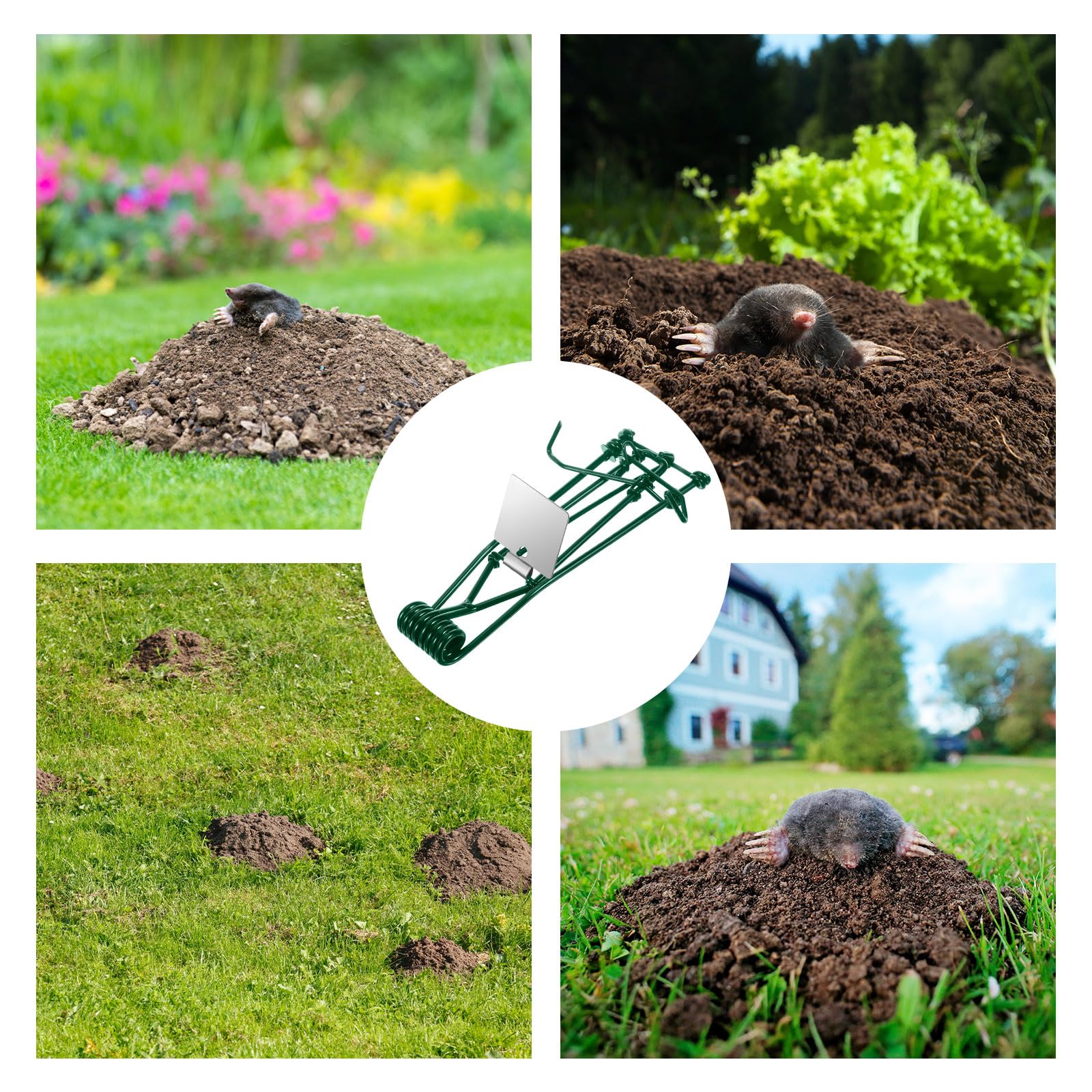 JahyElec metal mole trap protecting seedlings in garden beds.