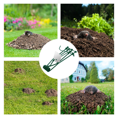 JahyElec metal mole trap protecting seedlings in garden beds.
