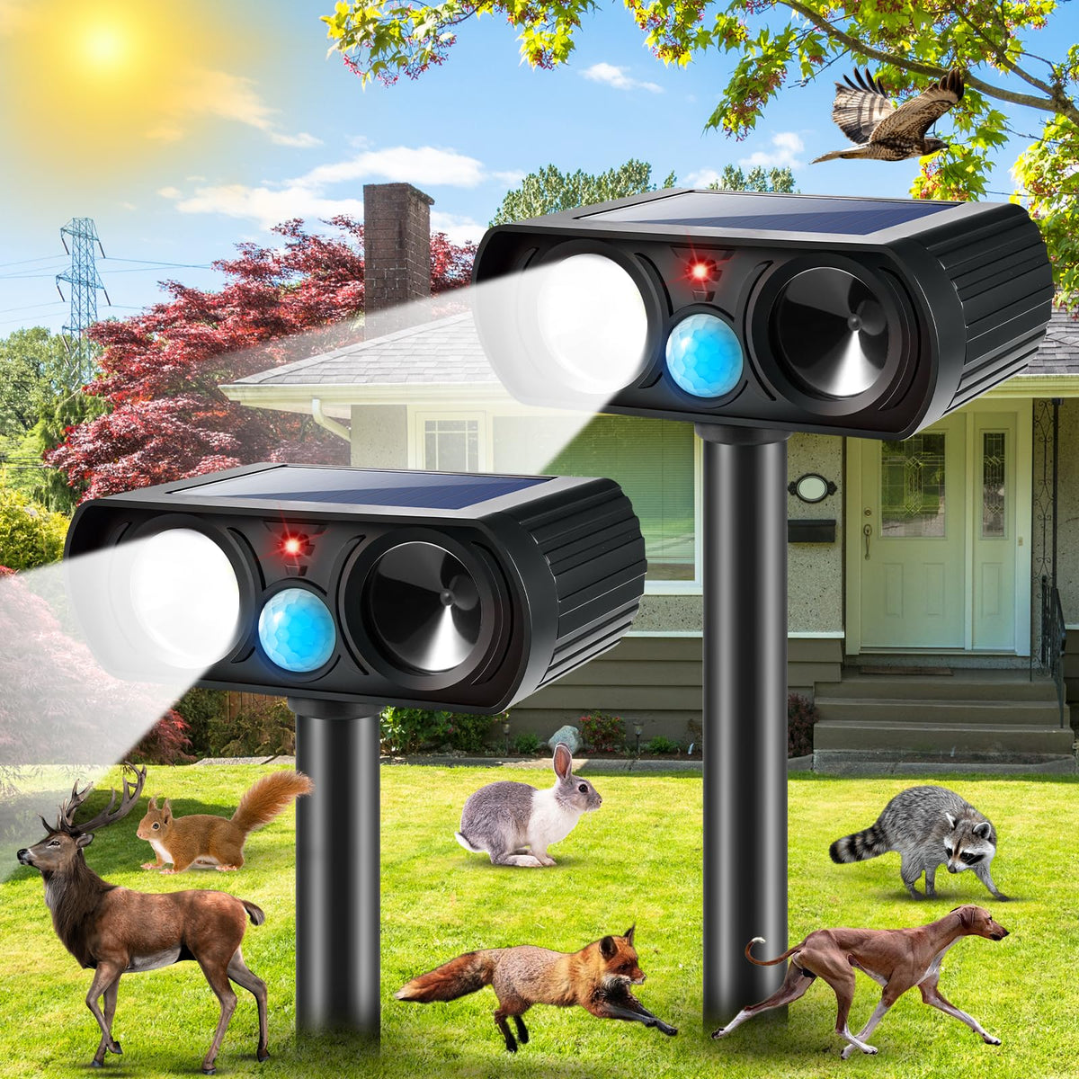 JahyElec 2Pack outdoor cat deterrent front view demonstrates humane ultrasonic protection.