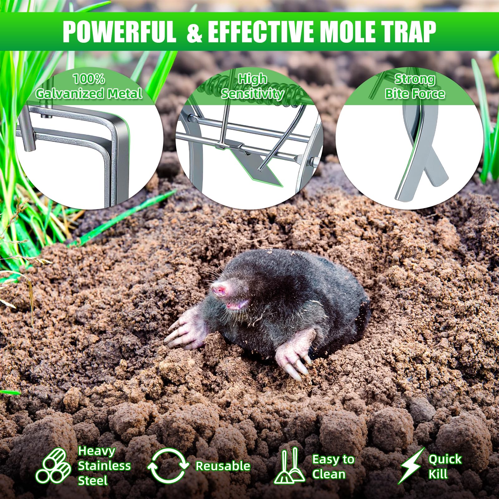 JahyElec gopher trap set in garden bed to deter burrowing