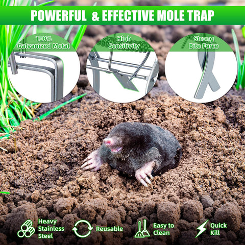 JahyElec gopher trap set in garden bed to deter burrowing