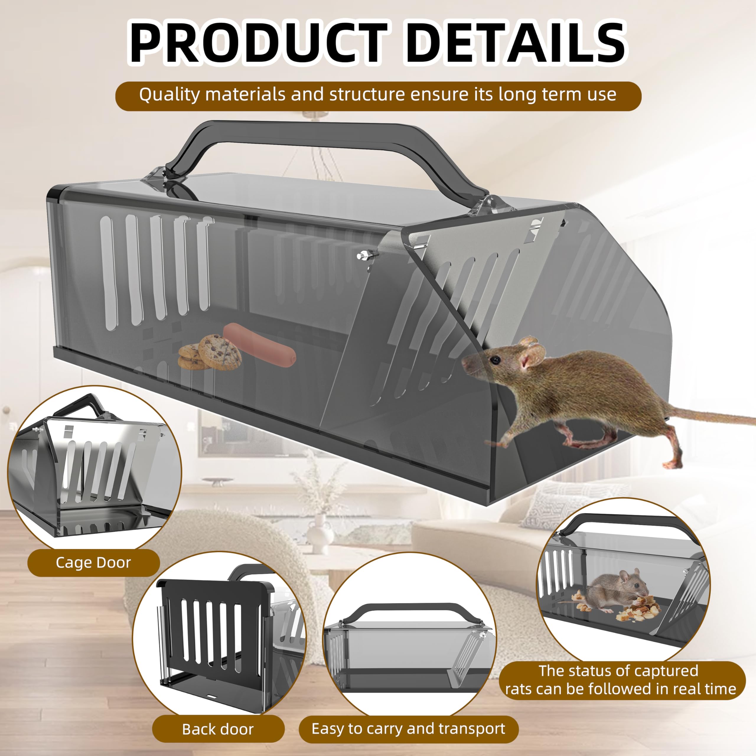 JahyElec live animal trap with one-way door ready for indoor use