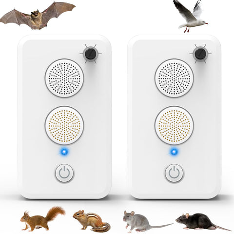 JahyElec bat deterrent device on attic shelf delivering quiet bat control.