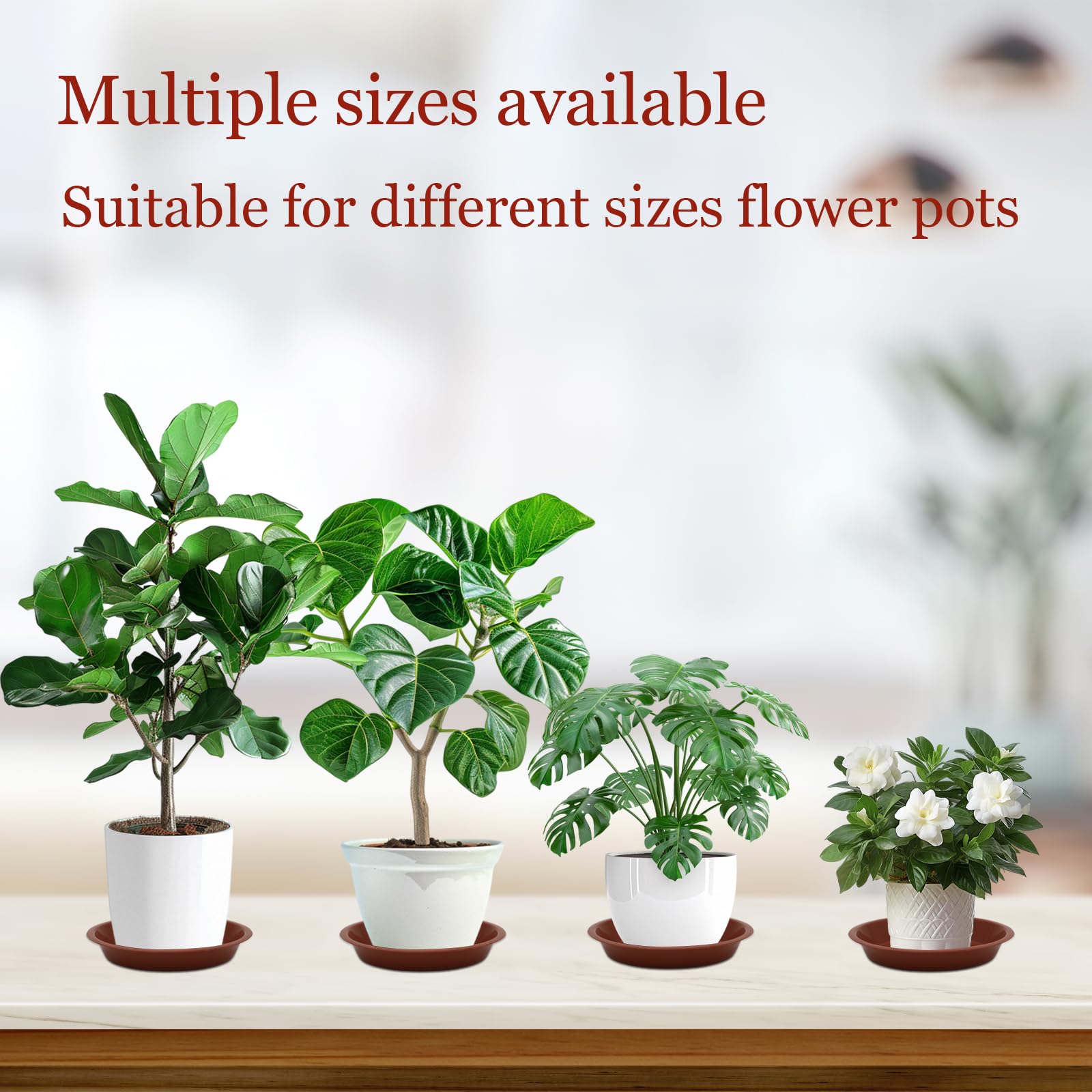 JAKOUE heavy-duty 6-inch saucers, durable PP plastic that resists cracks.