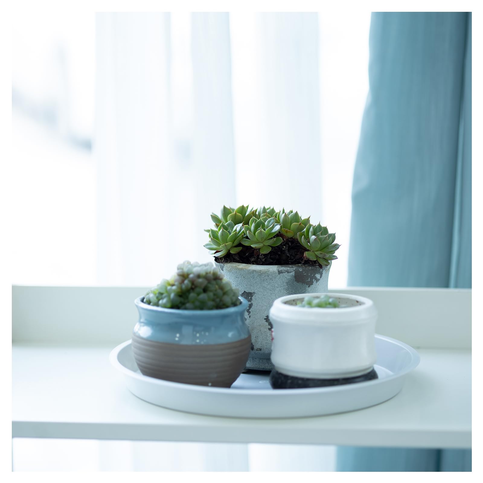 JAKOUE heavy-duty PP plant saucer withstands daily indoor-outdoor use.