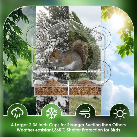 Jarkyfine four suction cups secure the feeder to glass even in wind