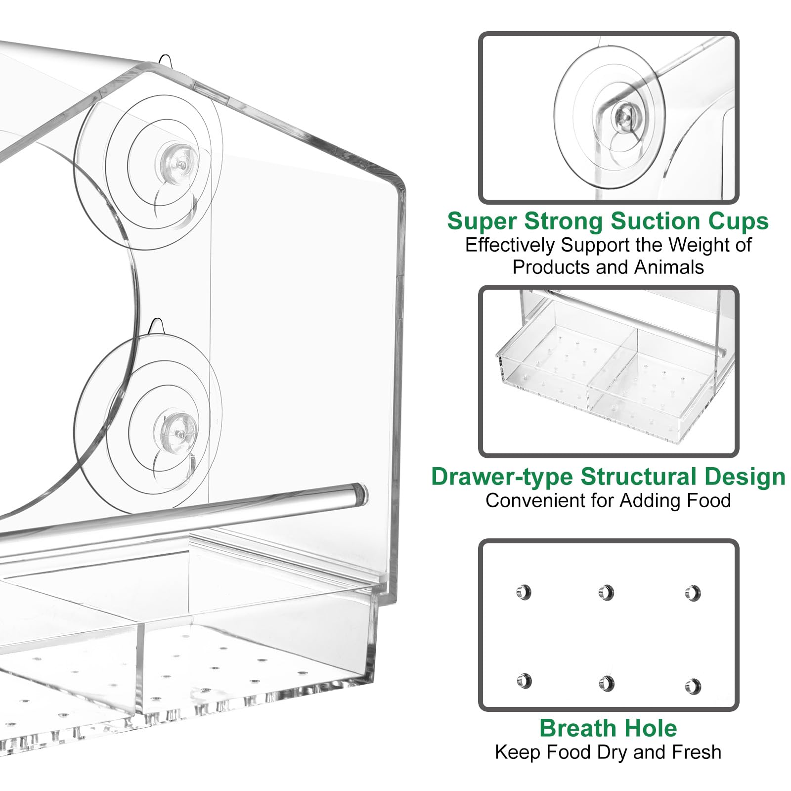 Jarkyfine see-through acrylic design offers close-up views of visiting songbirds