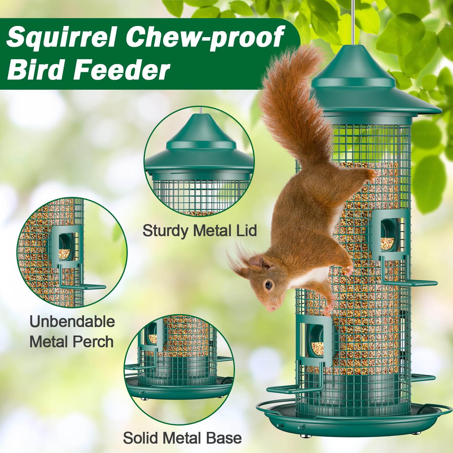 Jarkyfine squirrel-chew-proof design prevents gnawing while birds feed