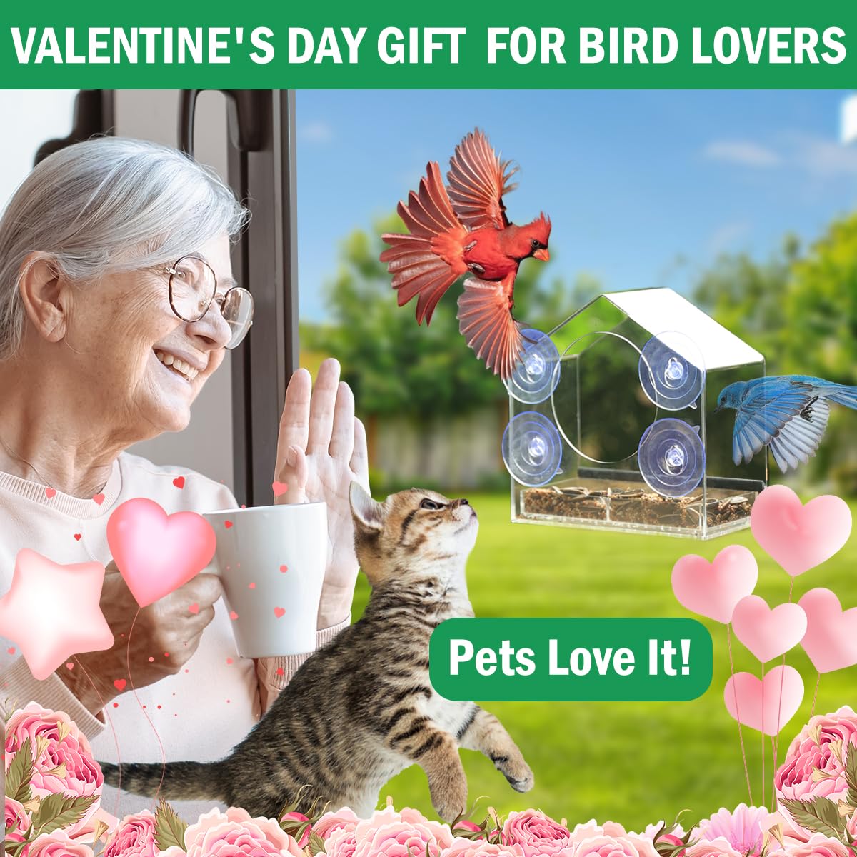 Jarkyfine window feeder creates indoor wildlife viewing for cats and kids