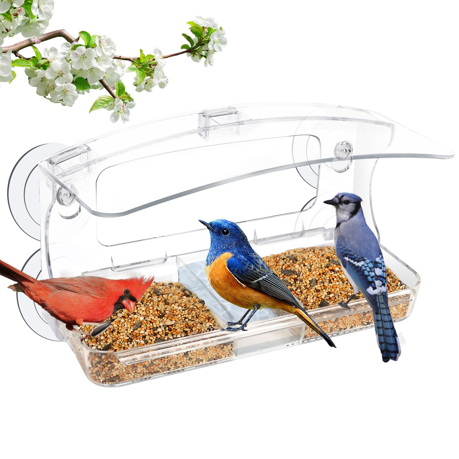 Jarkyfine window bird feeder with suction cups for stable outdoor viewing.
