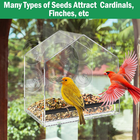 Kids and adults enjoy bird watching through the Jarkyfine feeder