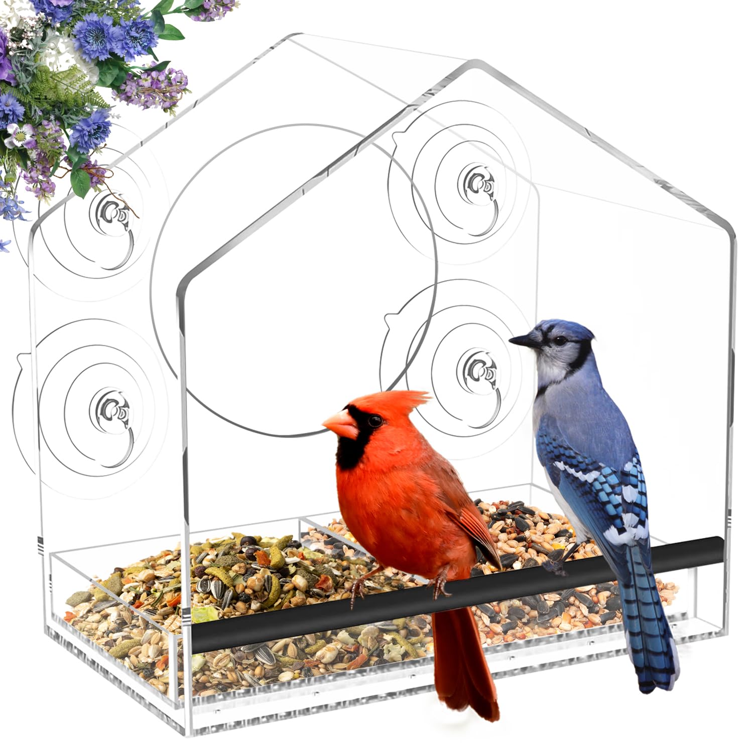 Jarkyfine window feeder shows strong suction cups keeping the unit secure for bird watching