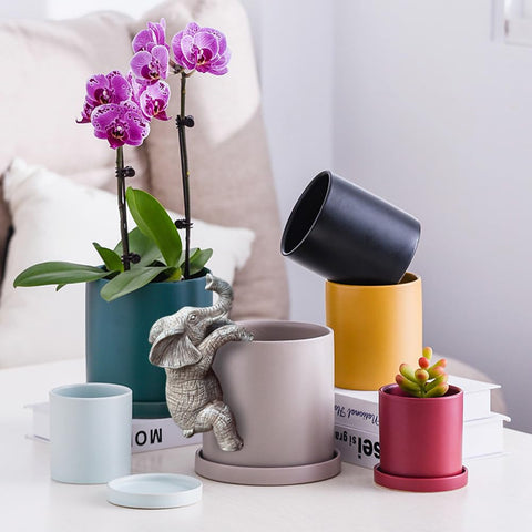 JARPSIRY elephant hugger terrarium edge adds whimsy.