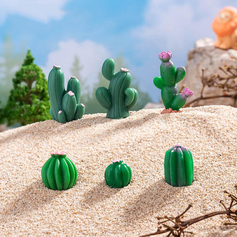 JARPSIRY compact cacti for bonsai crafts and micro landscapes.