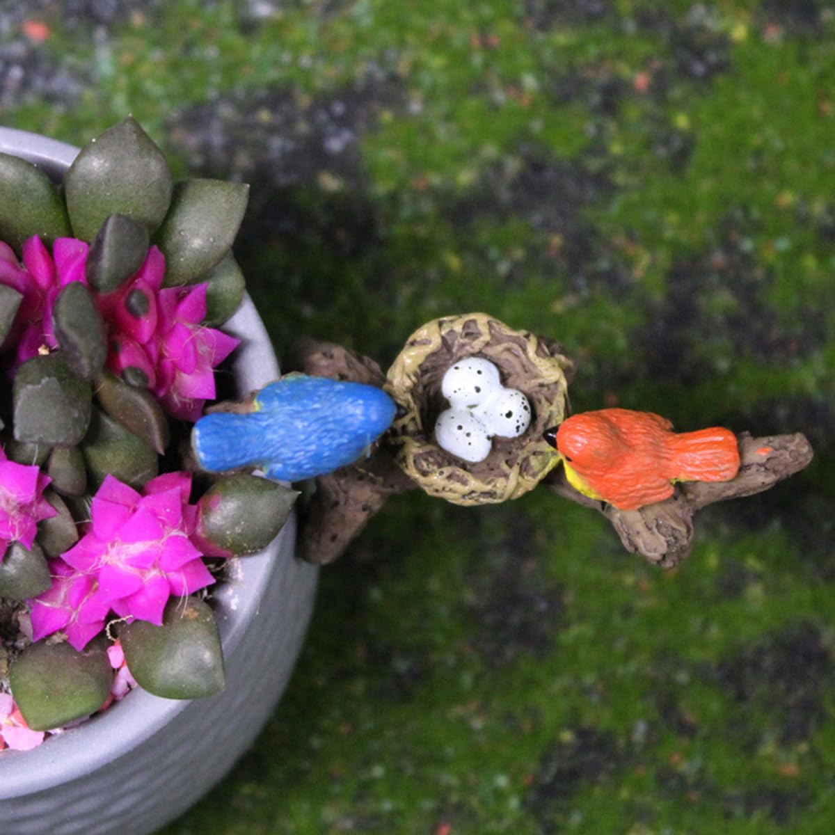 JARPSIRY terrarium toppers bring life to small ecosystems and aquariums.