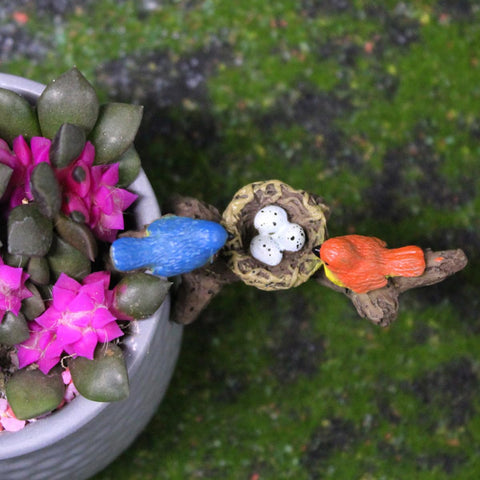 JARPSIRY terrarium toppers bring life to small ecosystems and aquariums.