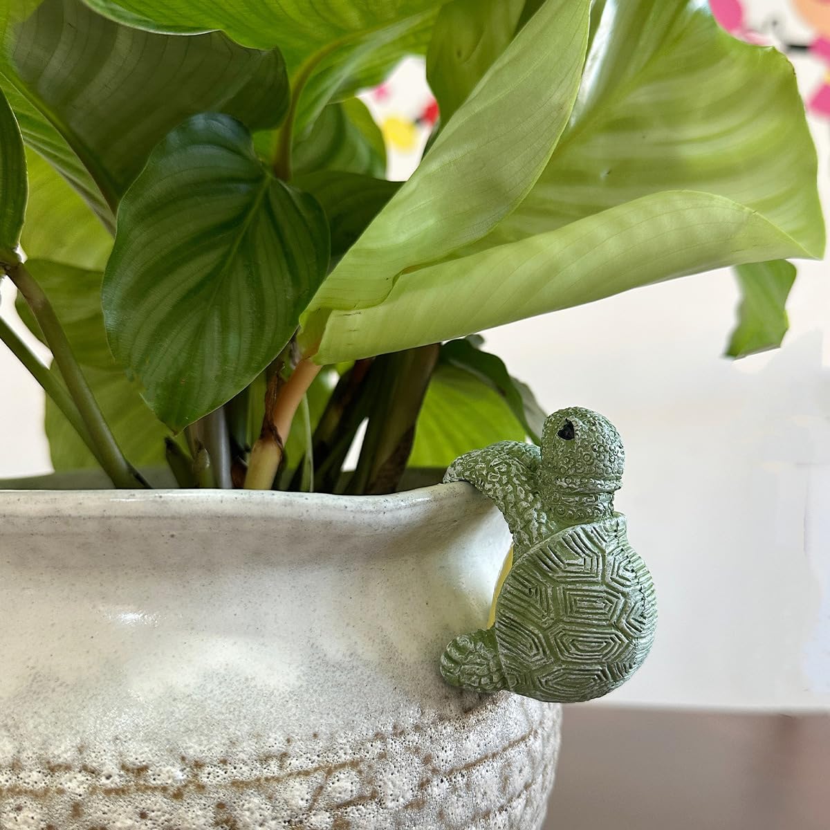 JARPSIRY tortoise planter hugger perched over an herb pot, charming kitchen display.