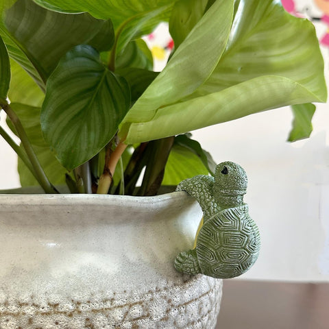 JARPSIRY tortoise planter hugger perched over an herb pot, charming kitchen display.