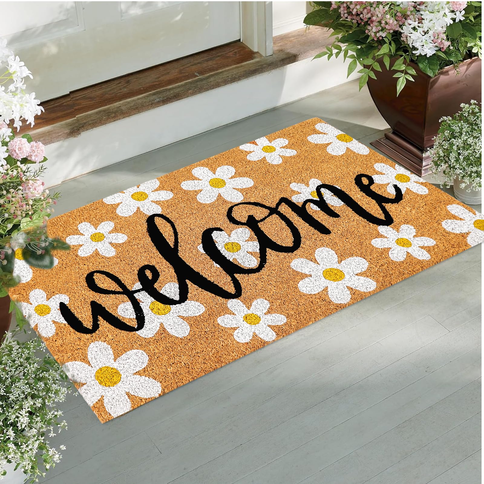 JarThenaAMCS Front-door daisies add charm and help keep moisture from floors.