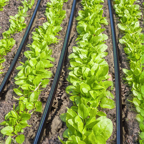 Ideal for garden, greenhouse, flower beds, patios, and farm watering projects.