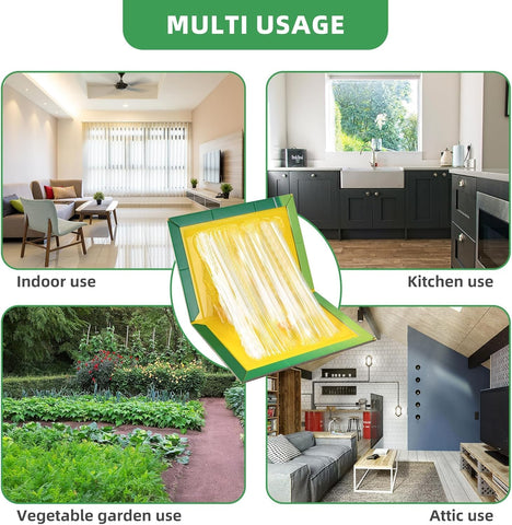 Jazb 12 pack display demonstrates value for multiple rooms