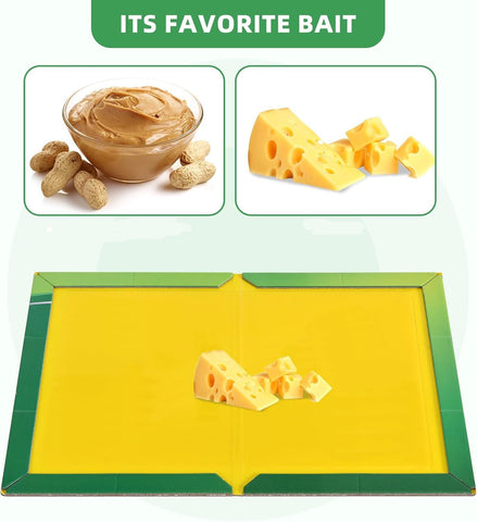 Jazb cardboard base offers durability and eco friendly disposal