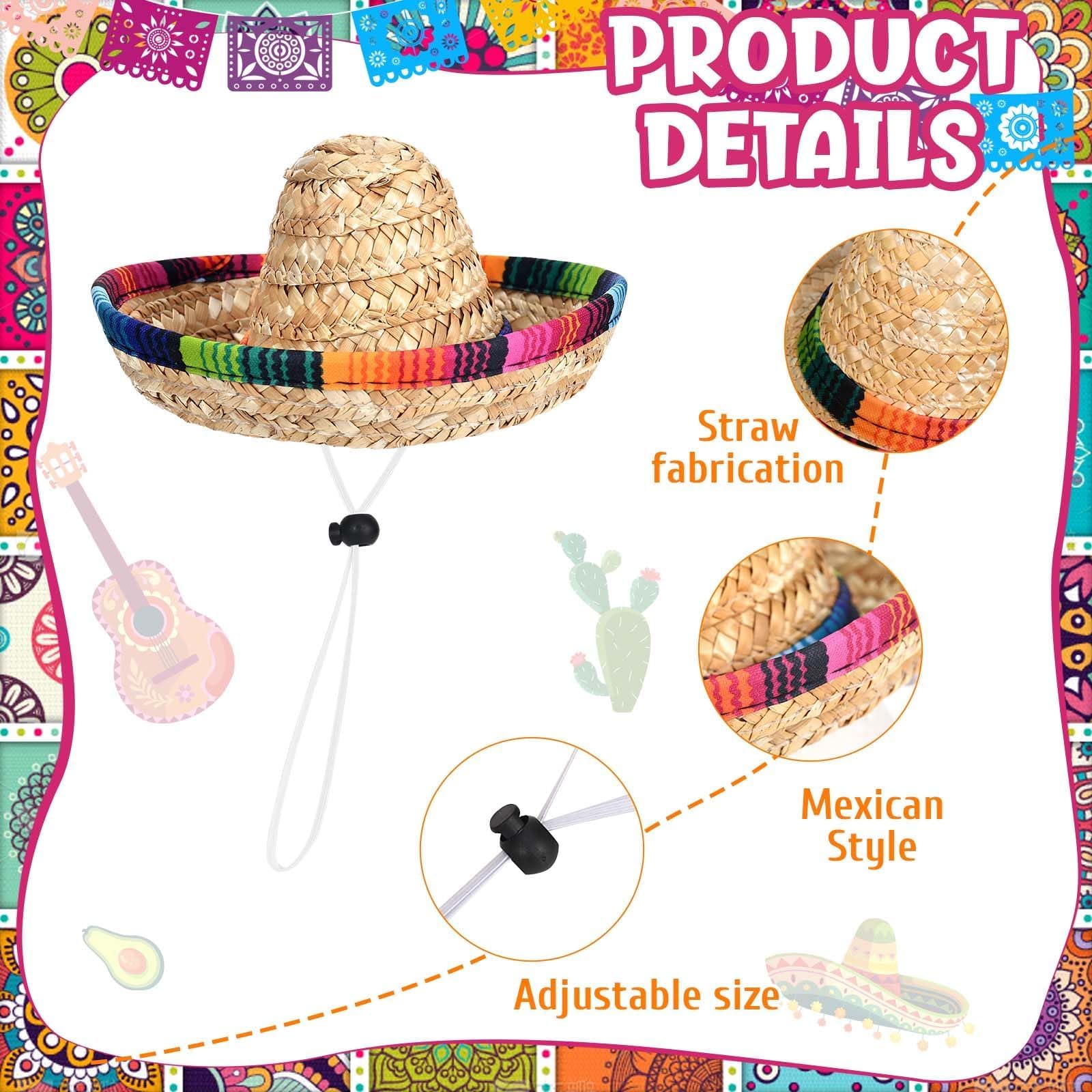 JcHrmers Cinco de Mayo goose sunglasses complete playful display