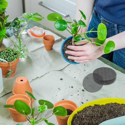 JDBZYDM bonsai seedling mesh pad supports delicate pots.