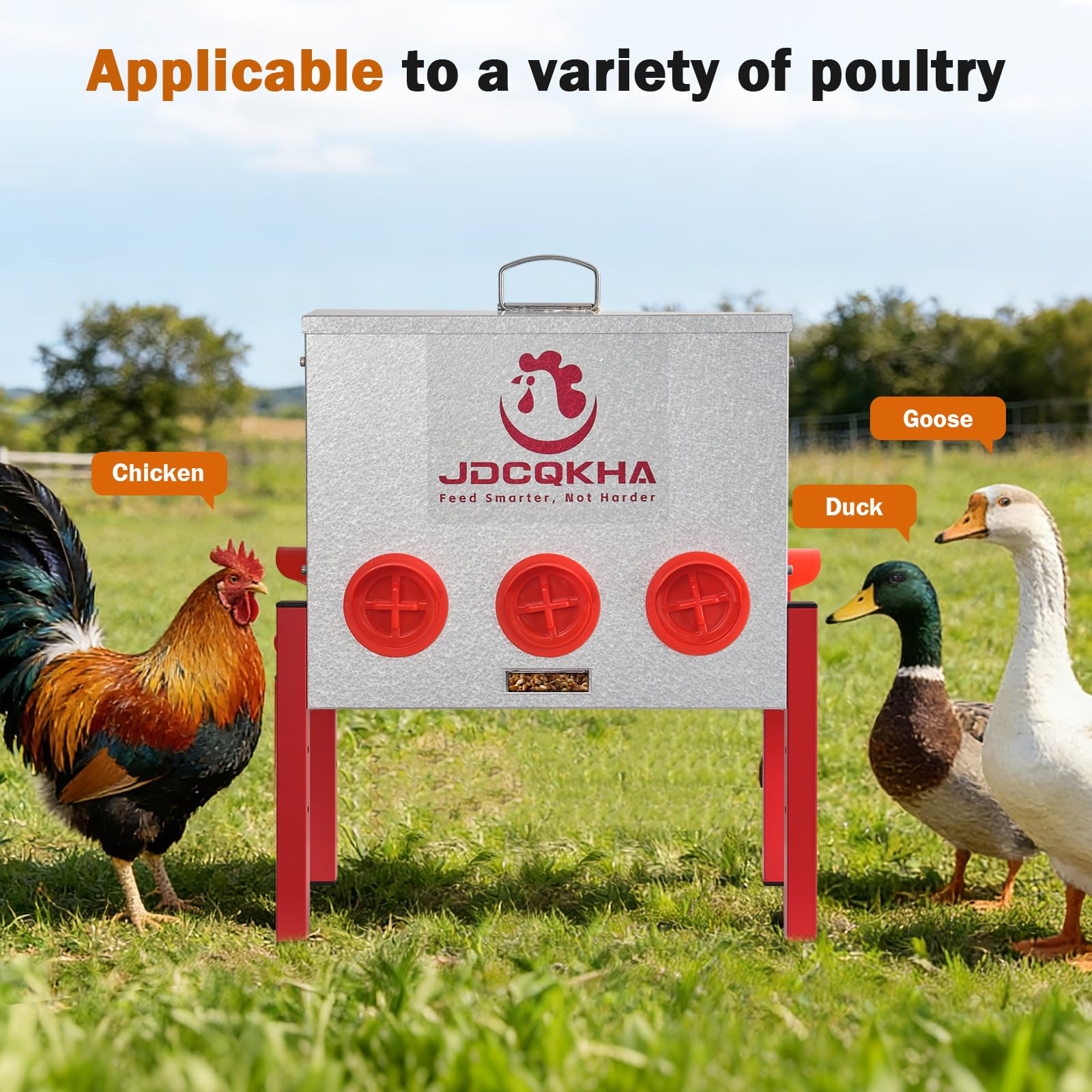 JDCQKHA 8-port design allows multiple birds to feed together.