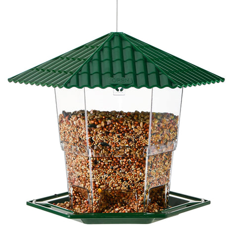 Jealoeur garden scene with birds visiting the feeder.