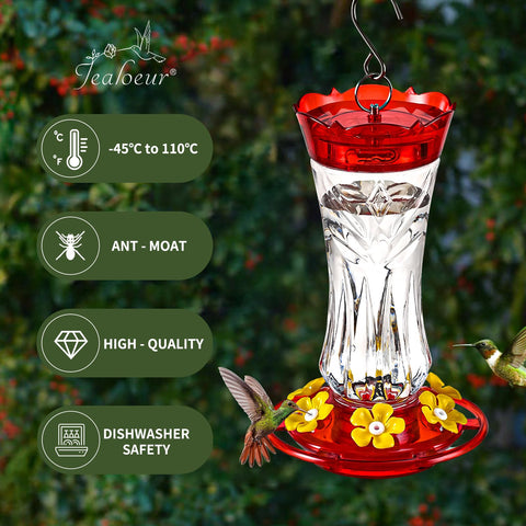 Jealoeur feeder with six ports for multiple hummingbirds feeding.