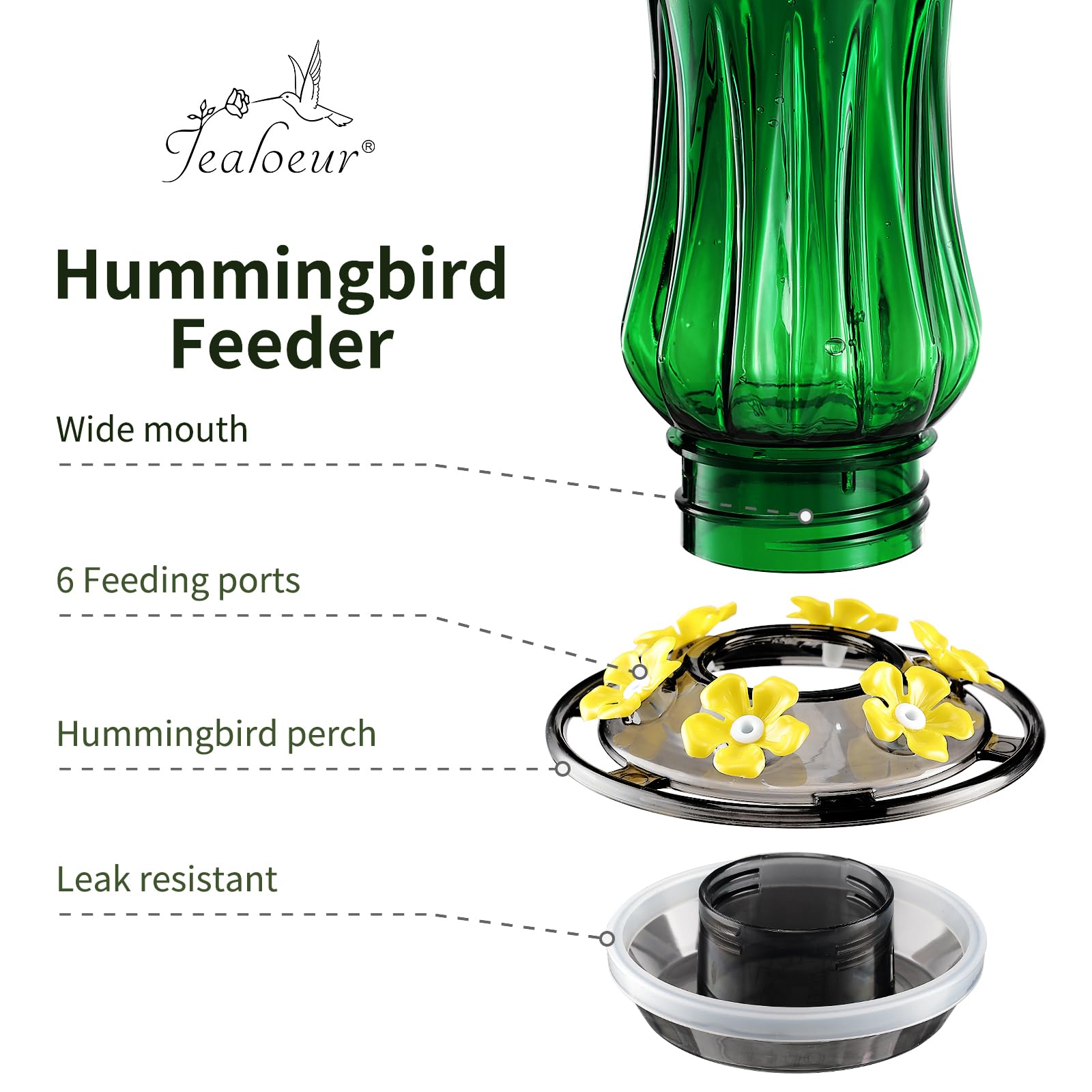 Jealoeur hummingbird feeder with ant moat protects nectar during garden visits.