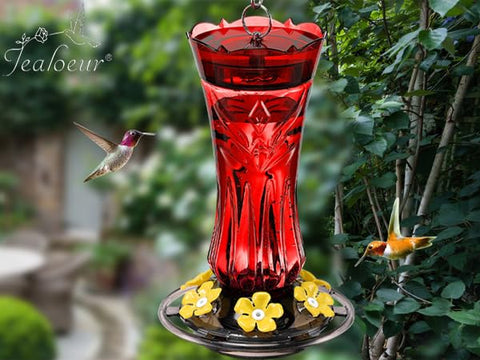 Jealoeur feeder gift-ready option for bird lovers and gardeners