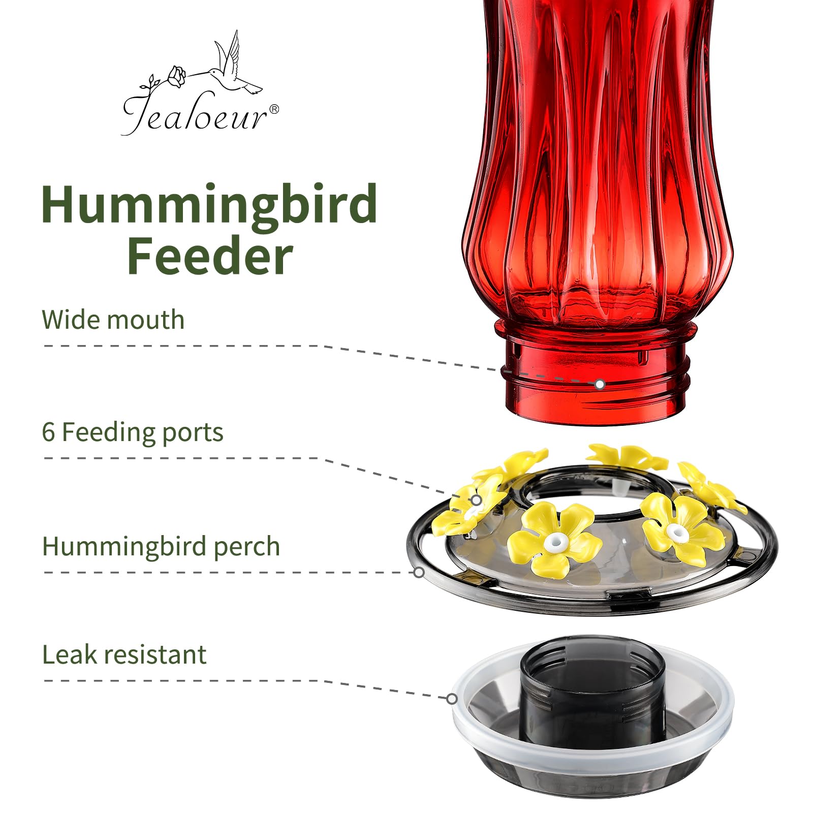 Jealoeur hummingbird feeder inverted fill bottom access for easy refills