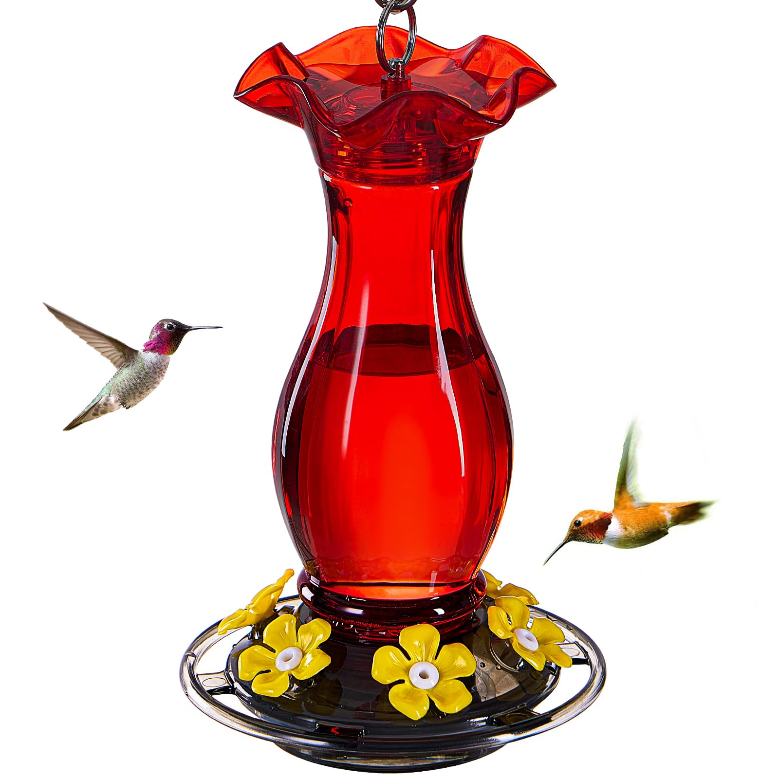 Jealoeur hummingbird feeder with six ports for lively backyard viewing.