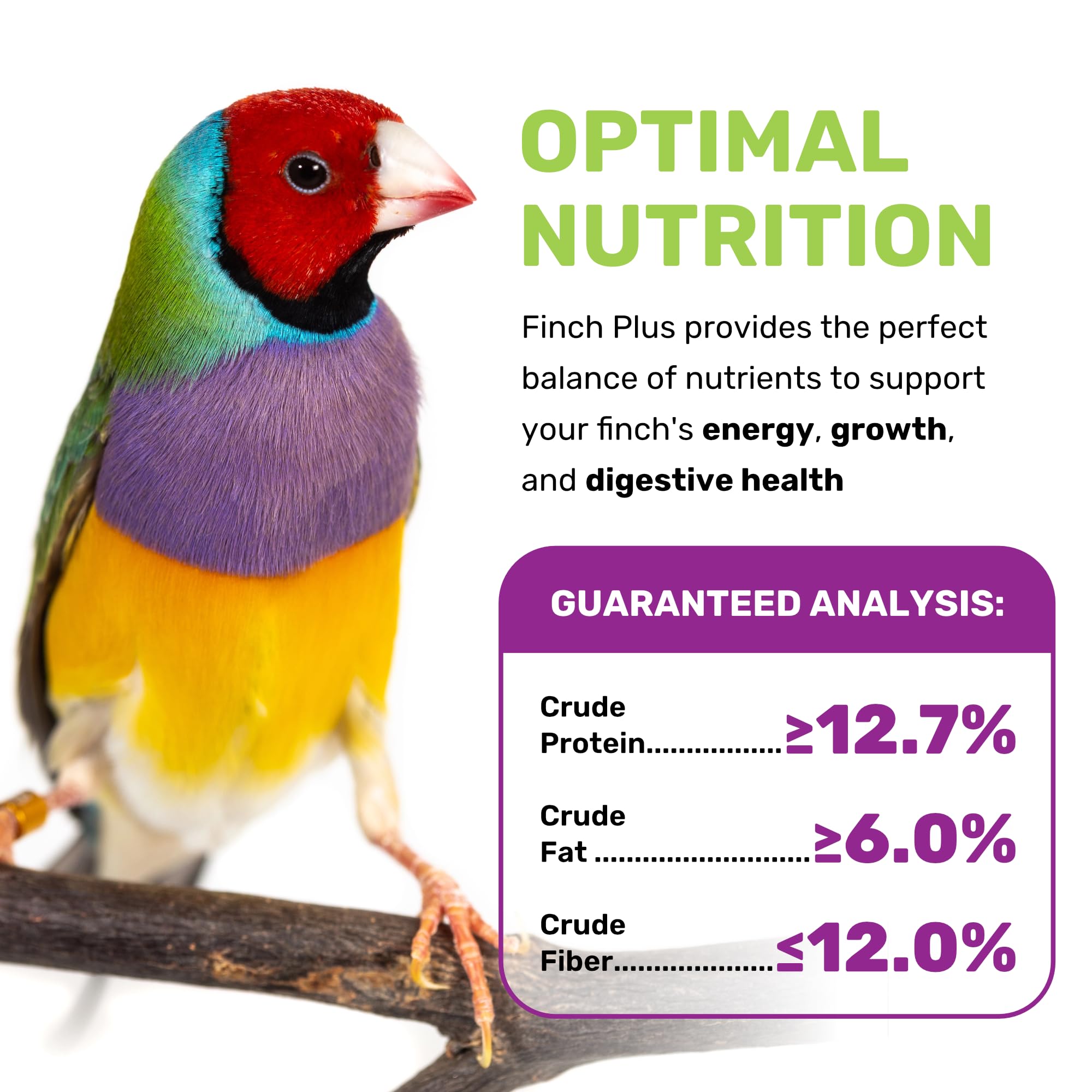 Nut-free JEDDS Finch Plus seed blend designed for peanut-free households and safe feeding.