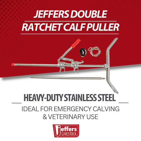 Jeffers calf puller ratchet assembly enables stepwise leg pulling.