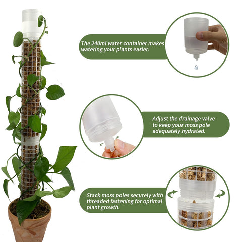 Jegu moss pole mesh pattern supports aerial roots for robust climbing plants
