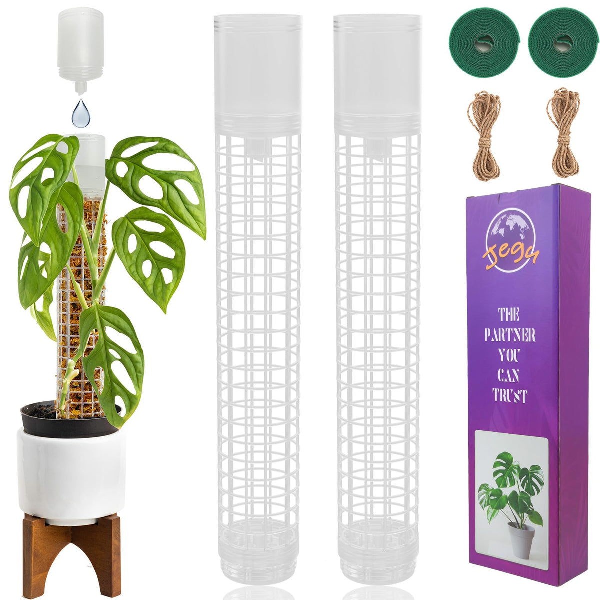JEGU self-watering moss pole with water cup top supports Monstera hydration.