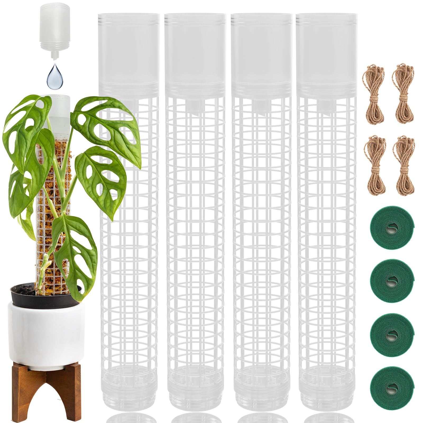 Jegu self-watering moss pole top cup ensures steady hydration for Monstera climbers