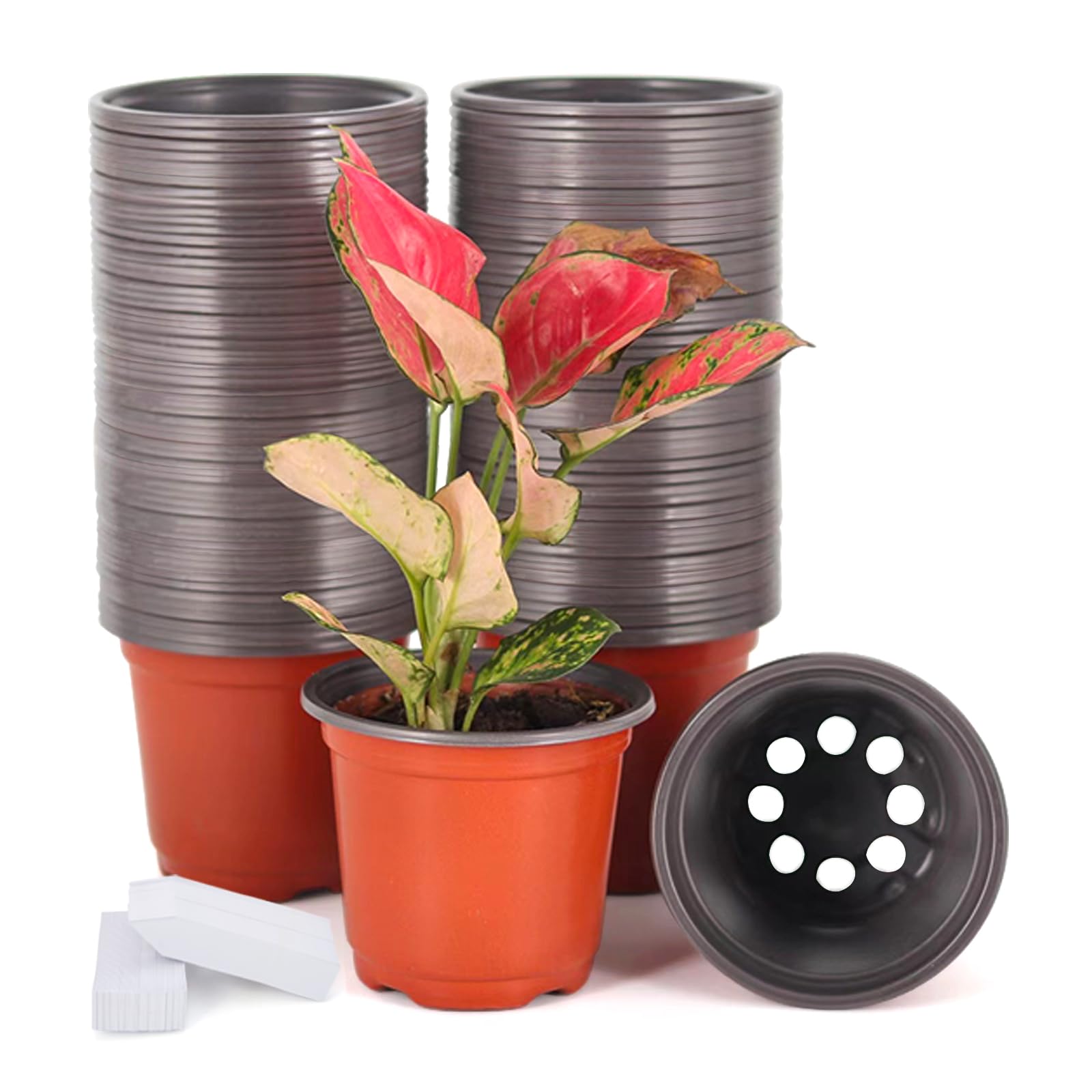 JERIA 100-pack 4-inch nursery pots stacked neatly for easy storage.