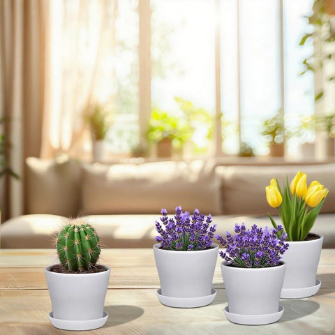 JERIA 4in plastic pot indoor-outdoor use, versatile gardening option.