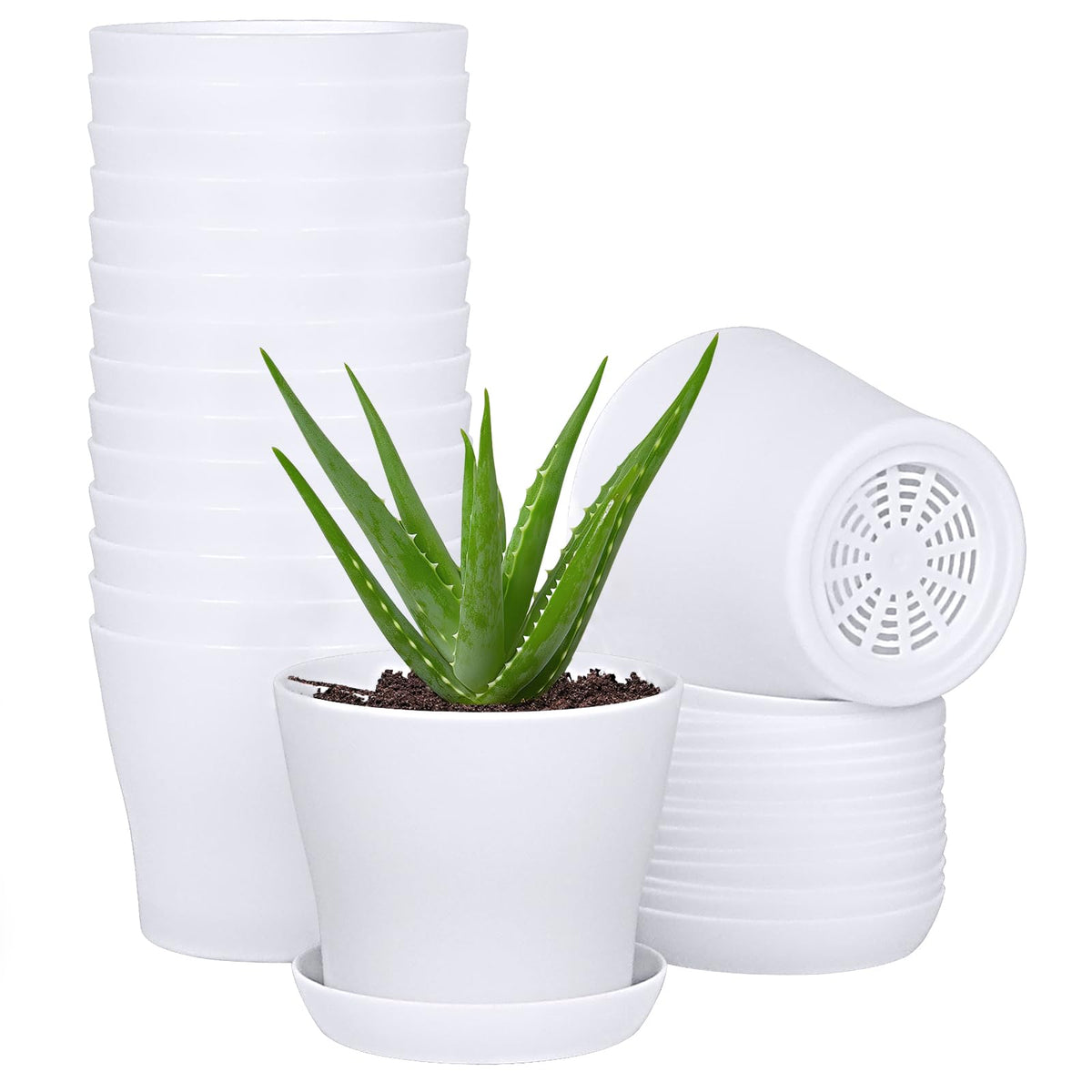 JERIA 16-pack 4in plastic pot top view, ideal for seedling organization and easy handling.