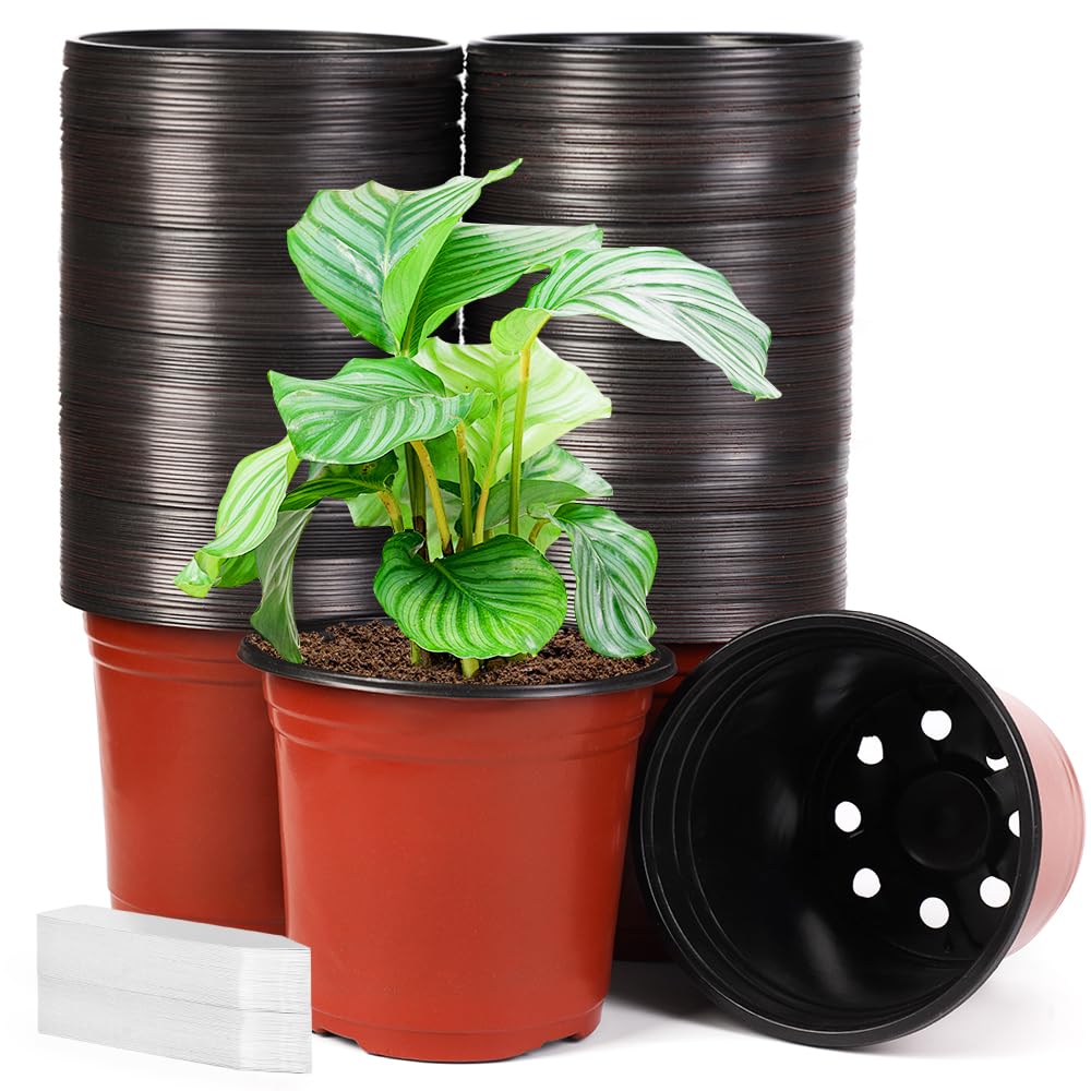 JERIA 6-inch nursery pot with drainage holes supports healthy seedling growth.