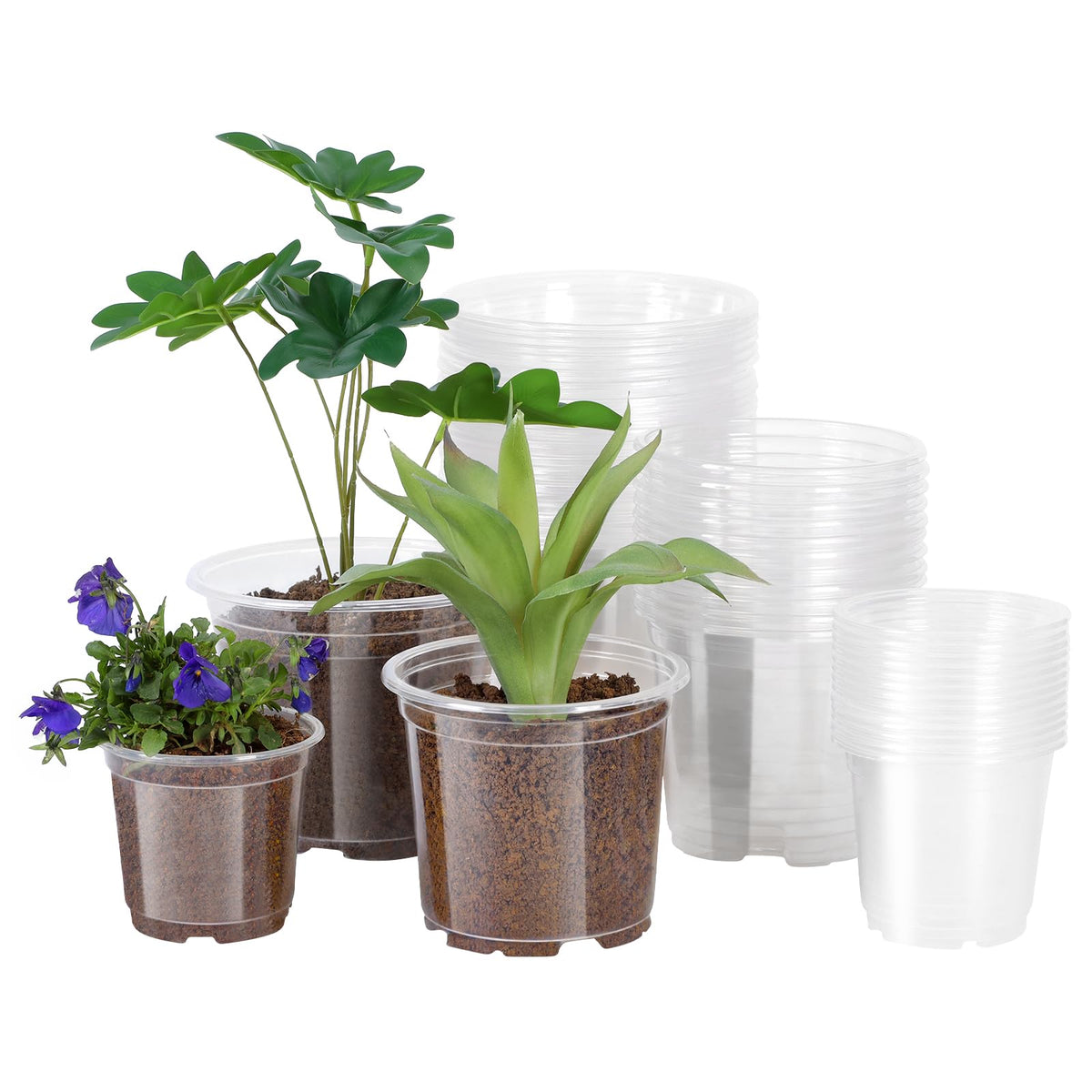JERIA clear pots 6in pack shot showing durable, reusable planters for seedlings