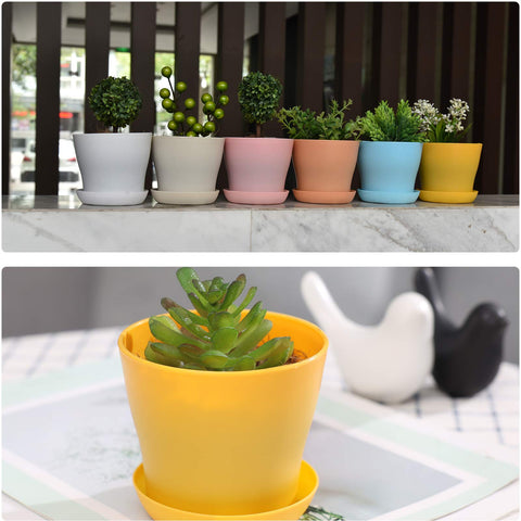 JERIA compact 4-inch pots fit small plants and tight spaces.
