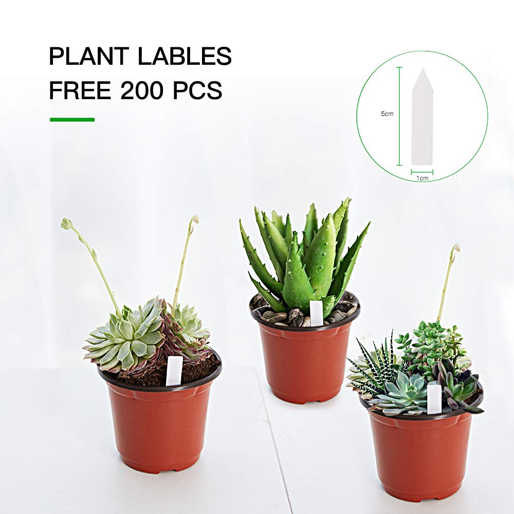 Eight drainage holes in JERIA pots promote soil aeration and moisture balance
