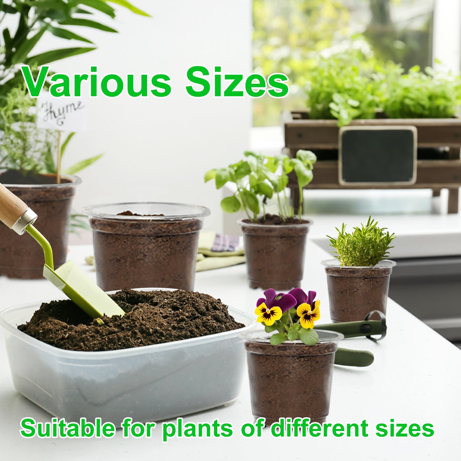 JERIA durable PP material clear pot for long-term use.
